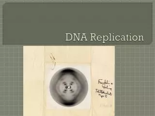 DNA Replication