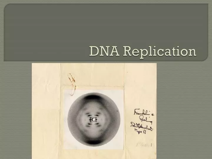 dna replication