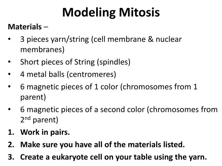 modeling mitosis
