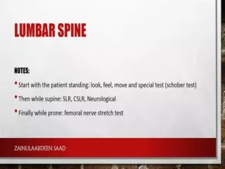 Lumbar spine