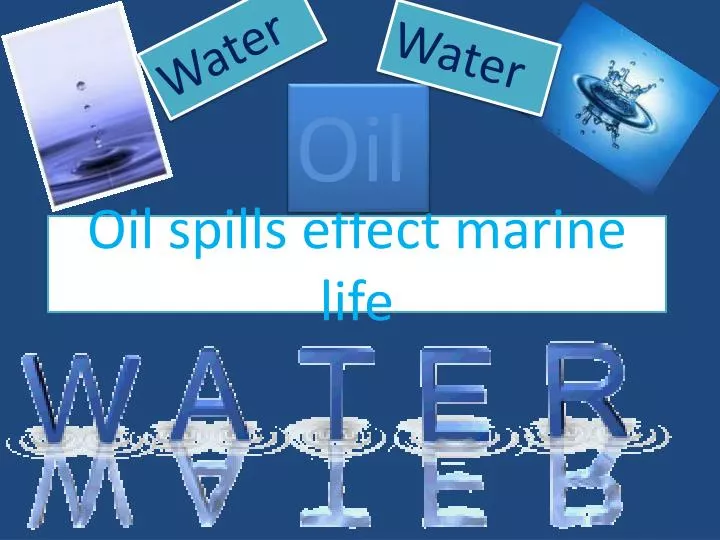 oil spills effect marine life