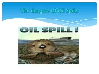 T he dangers Of Oil Spills