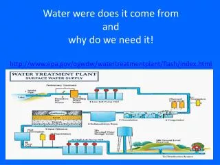 Water were does it come from and why do we need it!