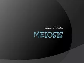 meiosis