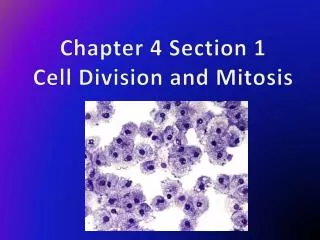 Chapter 4 Section 1 Cell Division and Mitosis