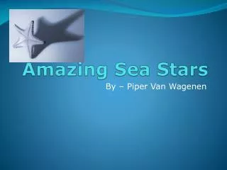 Amazing Sea Stars