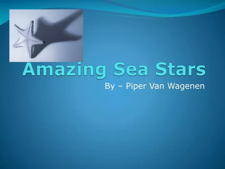amazing sea stars
