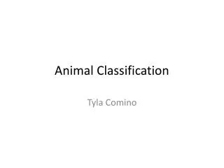 animal classification