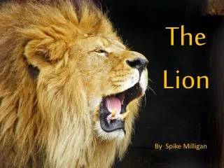 The Lion