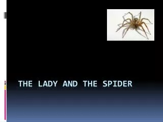 The Lady and the spider