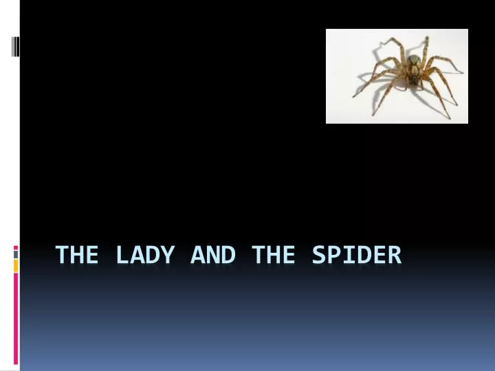 the lady and the spider
