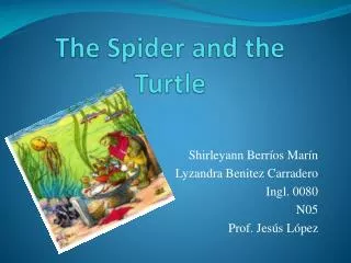 The Spider and the Turtle