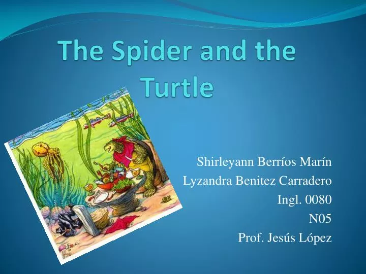 the spider and the turtle