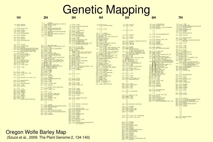 genetic mapping