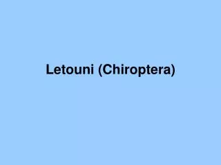 Letouni ( Chiroptera )