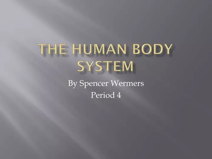 the human body system