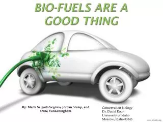 Bio-Fuels Are A Good Thing