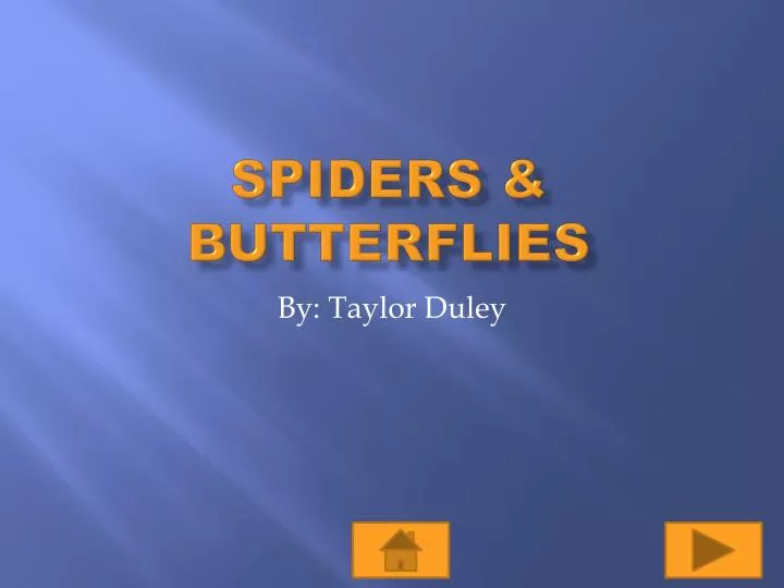 spiders butterflies