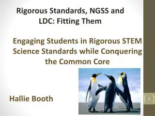 Engaging Students in Rigorous STEM Science Standards while Conquering the Common Core