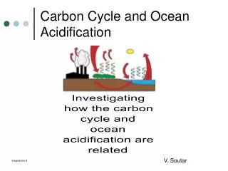 Carbon Cycle and Ocean Acidification
