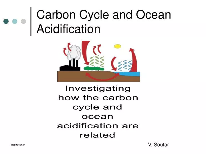 carbon cycle and ocean acidification