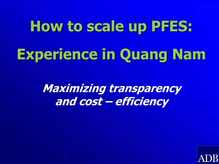 how to scale up pfes experience in quang nam