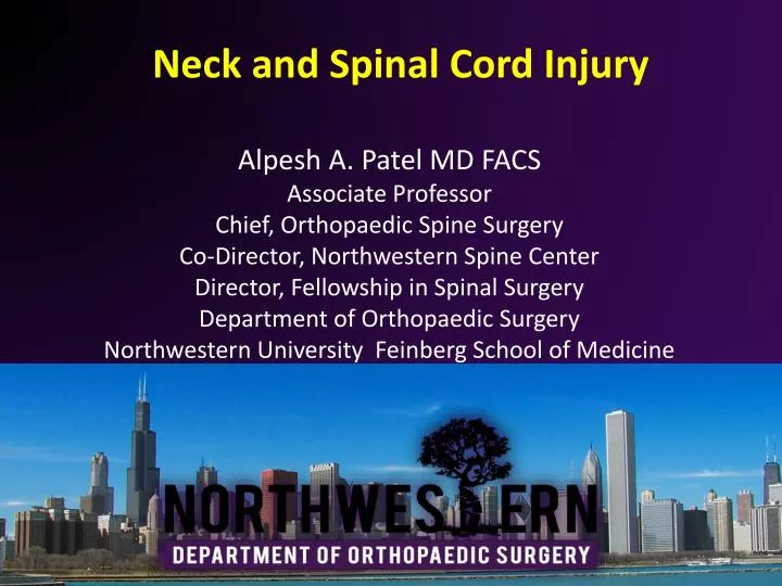 neck and spinal cord injury