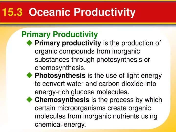 15 3 oceanic productivity