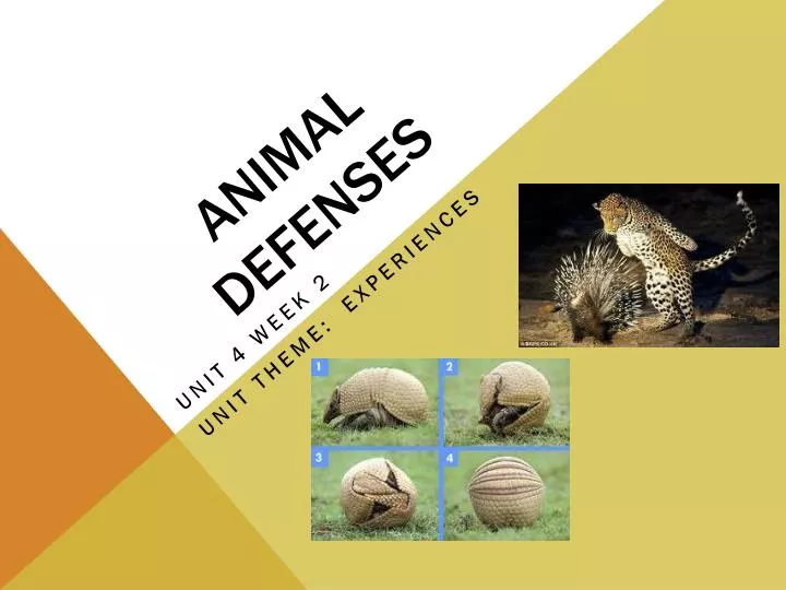 animal defenses