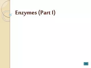 Enzymes (Part I)