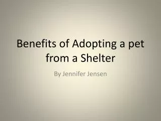 Benefits of Adopting a pet from a Shelter