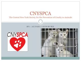 CNYSPCA The Central New York Society for the Prevention of Cruelty to Animals