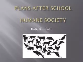 Plans after School Humane Society