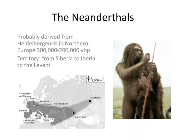 the neanderthals