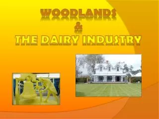 Woodlands &amp; The dairy industry