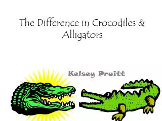 The Difference in Crocodiles &amp; Alligators