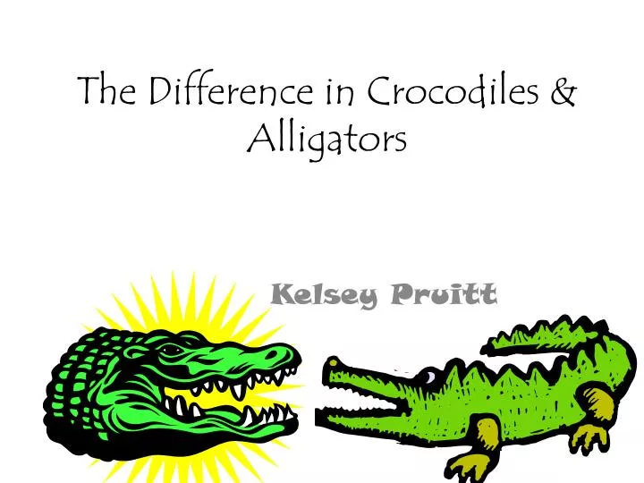 the difference in crocodiles alligators