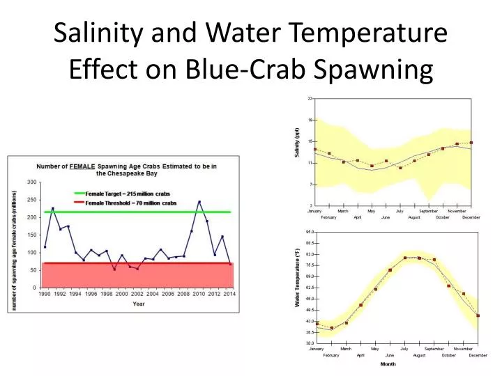 salinity and water temperature effect on blue crab spawning