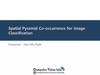 Spatial Pyramid Co-occurrence for Image Classification
