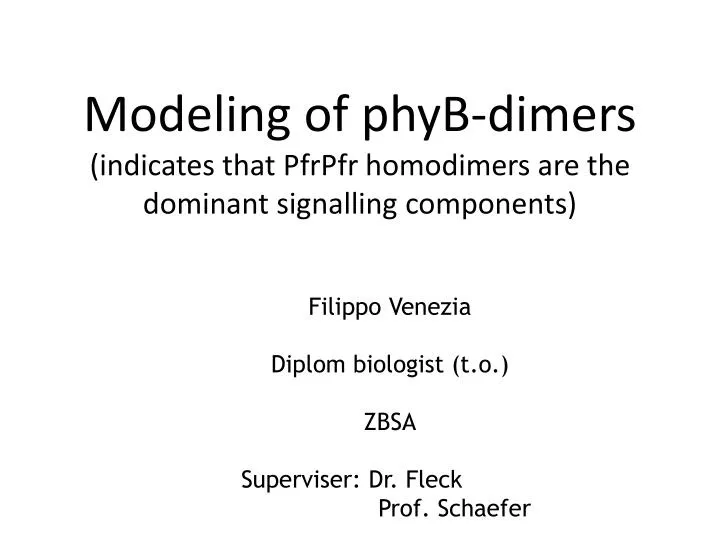 modeling of phyb dimers indicates that pfrpfr homodimers are the dominant signalling components