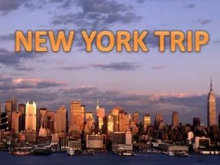 NEW YORK TRIP