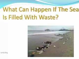 W hat Can Happen If The Sea Is Filled With Waste?