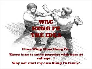 WAC Kung Fu The Idea