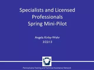Specialists and Licensed Professionals Spring Mini-Pilot