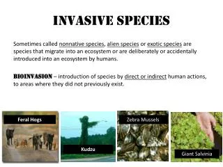 Invasive Species