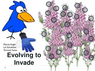 Evolving to Invade