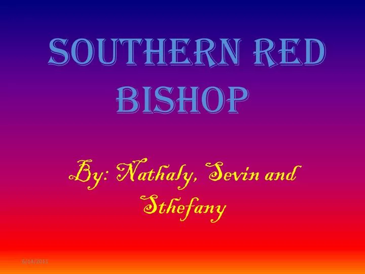 southern red bishop