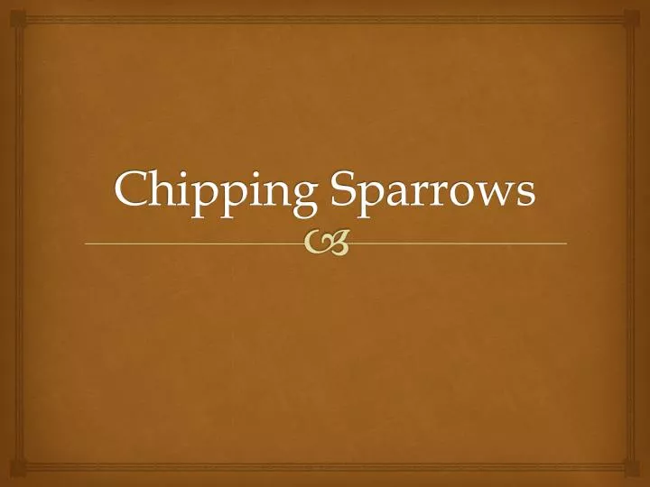 chipping sparrows