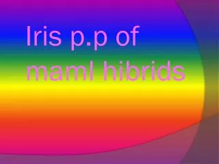 Iris p.p of maml hibrids