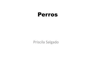 perros